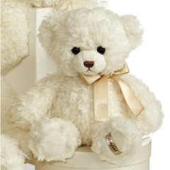 Beautiful Plush 11" Ashford Teddy Bear